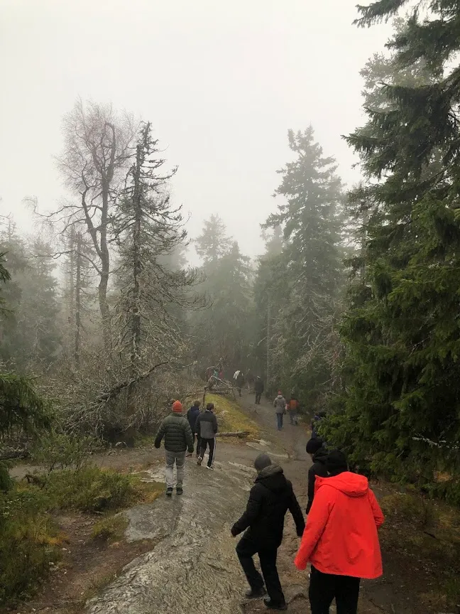 Koli Walk